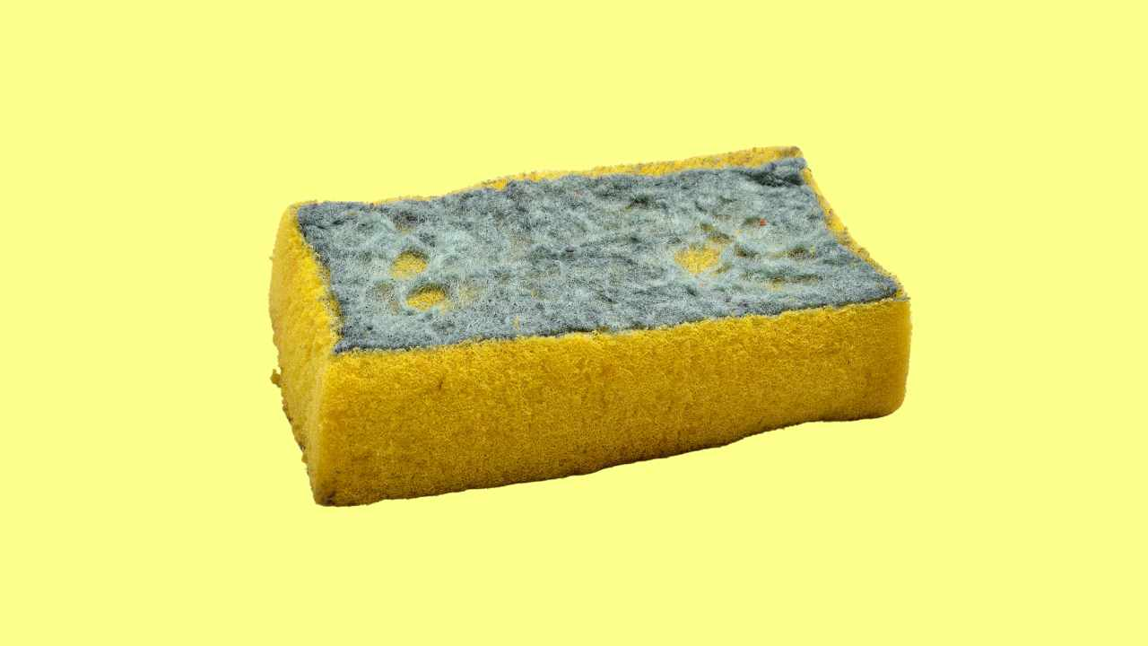 3 ideas súper útiles para reutilizar esponjas de cocina usadas