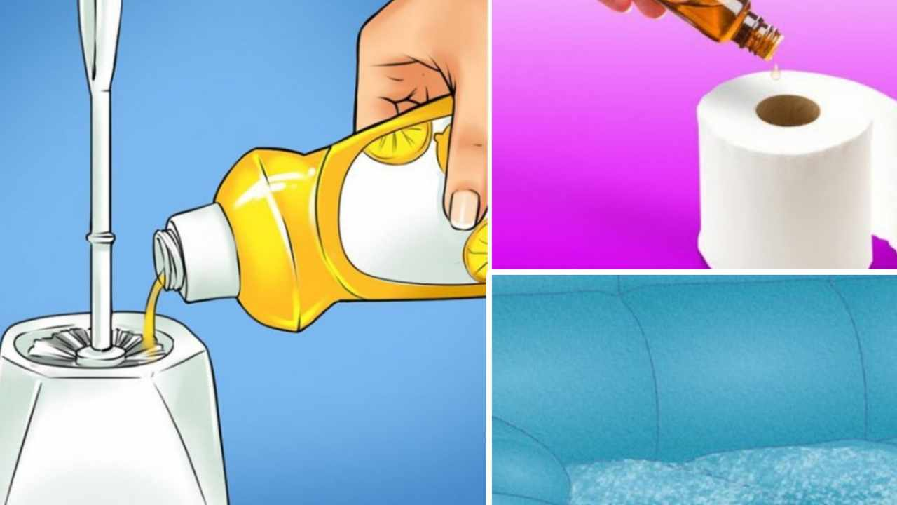 6 maneras de eliminar los malos olores en tu hogar con trucos extraordinarios