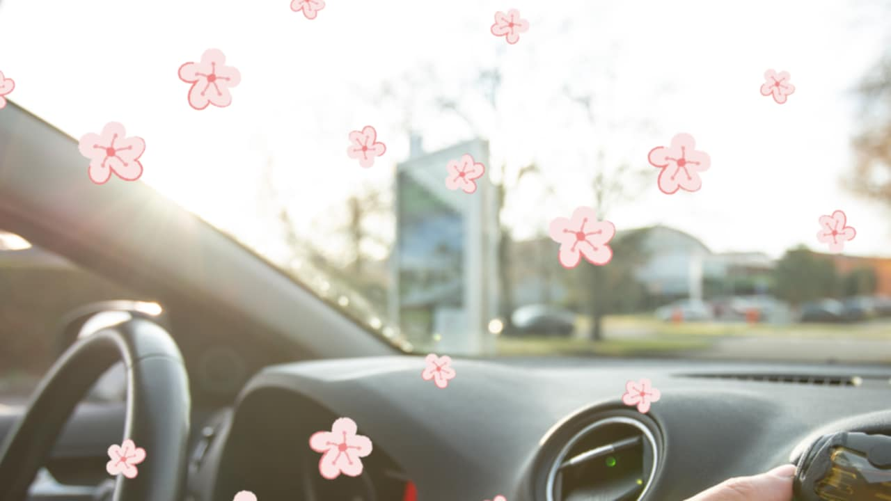 Un ambientador para coche casero. ¡Una vez que descubras este remedio, nunca querrás prescindir de él! Tu coche siempre olerá genial