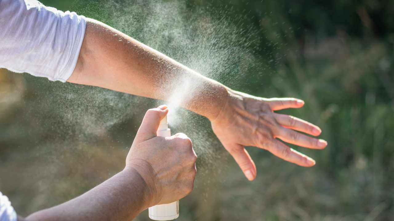 Haz un repelente de mosquitos casero: es efectivo y totalmente natural