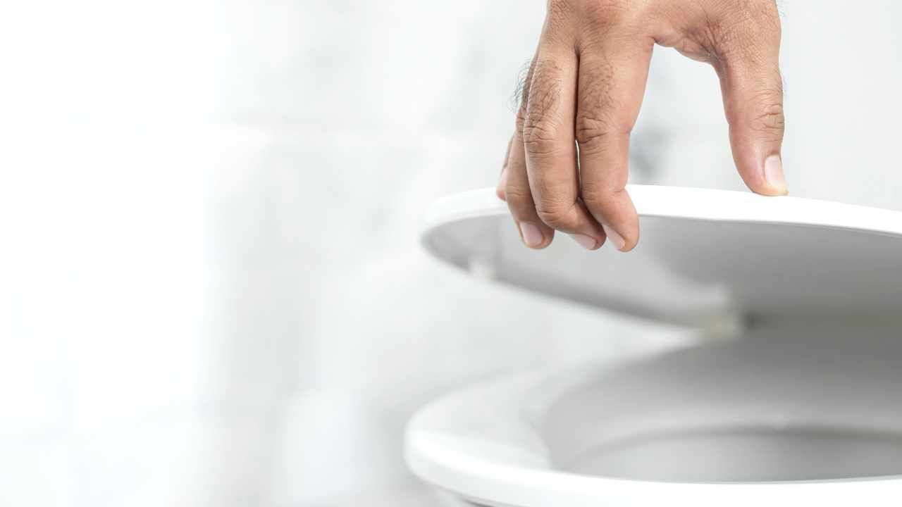 Inodoro sin cisterna: cómo está hecho y cómo funciona
