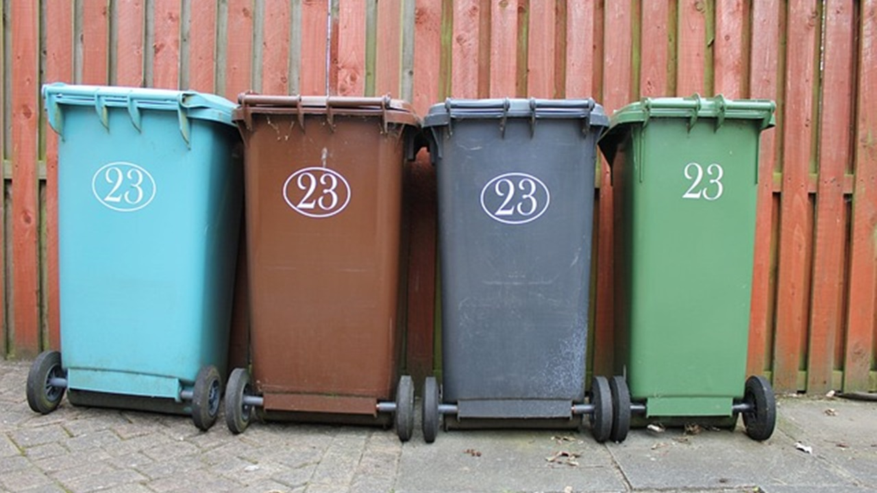 5 errores comunes que probablemente cometes al tirar estas cosas a la basura