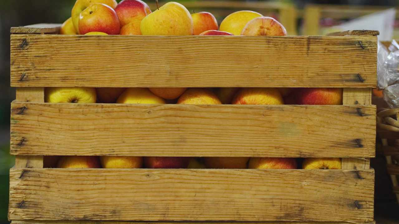 Cajas de fruta: descubre cómo reciclarlas para decorar tu hogar