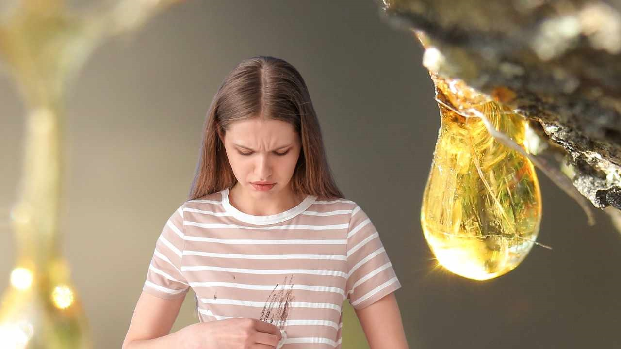 Cómo quitar la resina de la ropa de forma rápida y sencilla