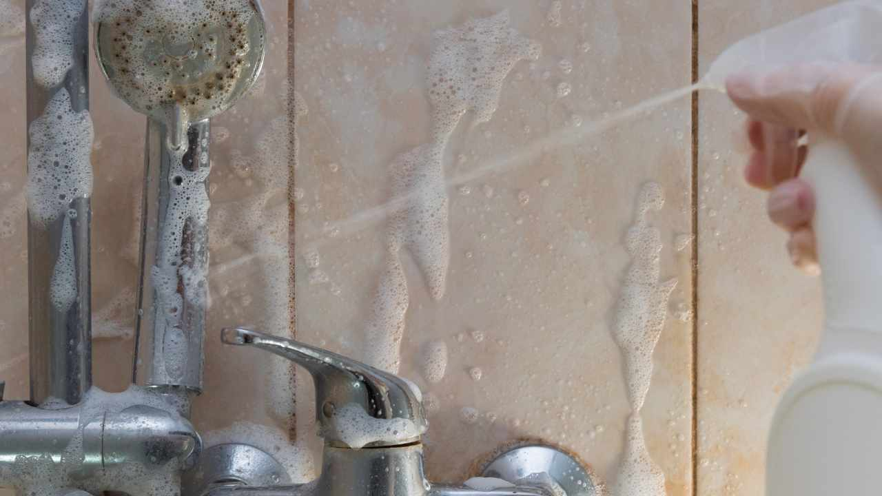 Receta perfecta para un formidable descalcificador casero