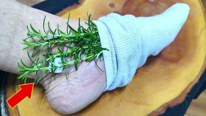 13 beneficios del romero y cómo utilizarlo