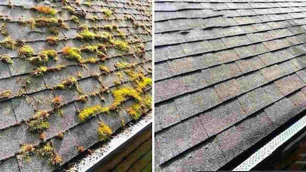Musgo en el techo de la casa, este ingrediente será suficiente para eliminarlo de inmediato