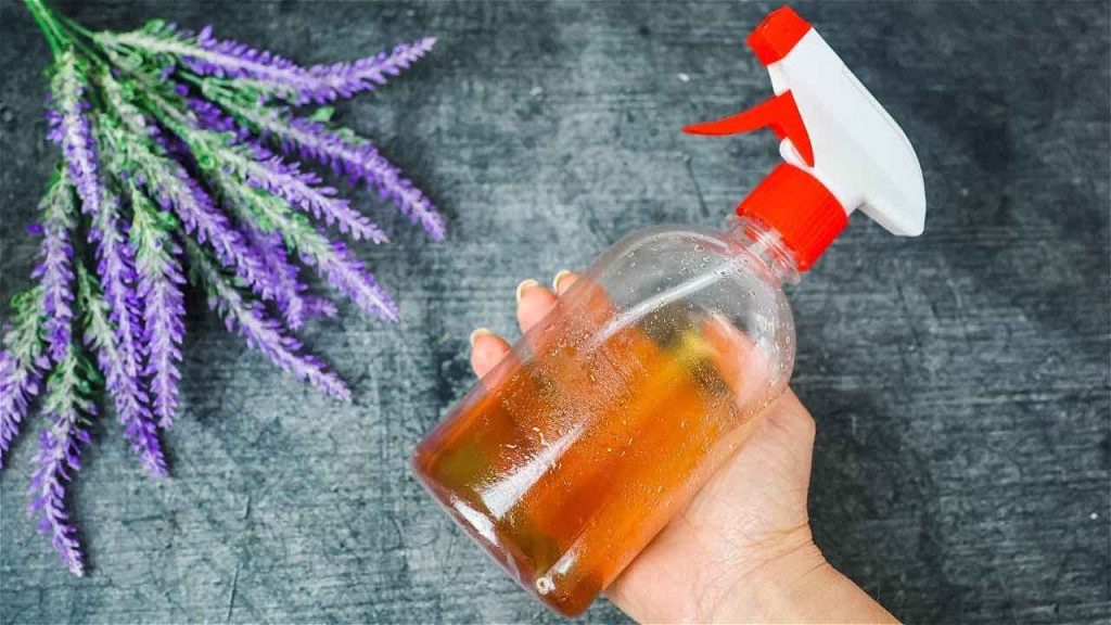 No desperdicies dinero, prepara este repelente natural contra los mosquitos para alejarlos al instante