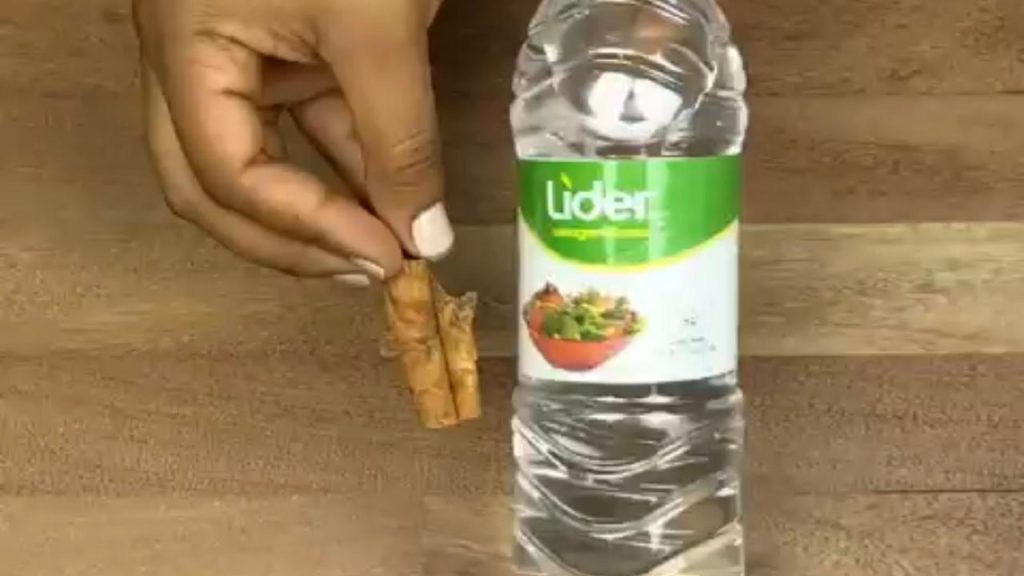 Si insectos han invadido tu casa, no te preocupes: ya no serán un problema.