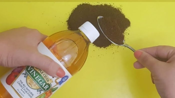 Una vez que los combines no te detendrás porque juntos son muy efectivos: aquí está el porqué