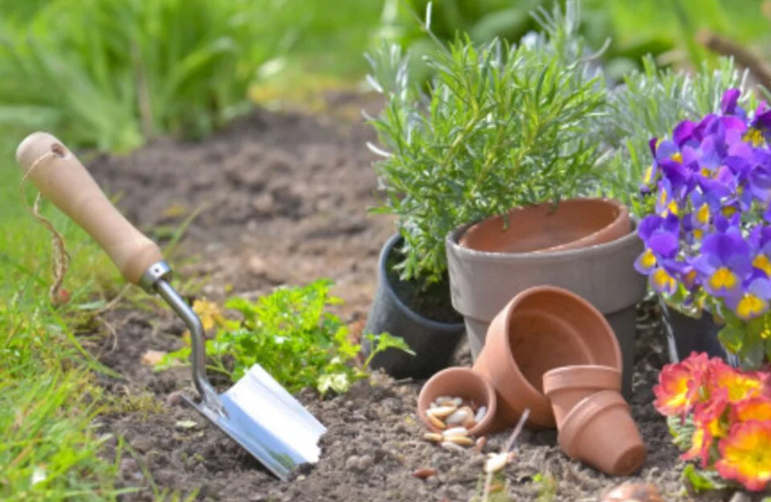 Bicarbonato en la horticultura: 7 métodos infalibles para cuidar las plantas verdes