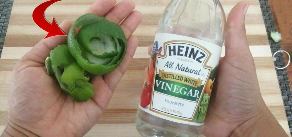 Cáscaras de limón con vinagre blanco, si las unes ahorras mucho dinero