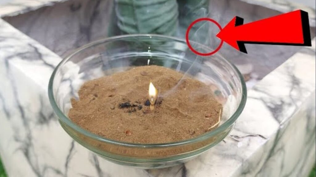 Con esto eliminas mosquitos, moscas pequeñas e insectos de tu casa en 5 minutos: ponlo en la cocina