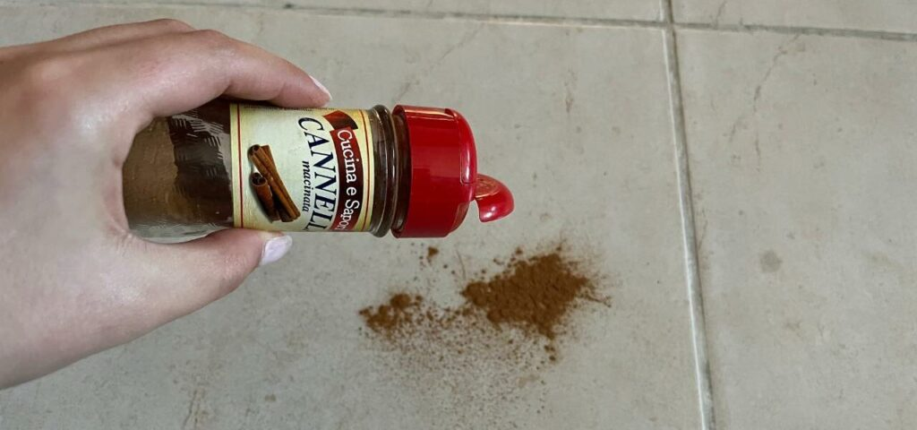 Esparcir una pizca de canela en el suelo, el truco que funciona desde hace décadas