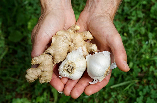 Miel, jugo de limón, cebollas, ajo y jengibre rallado: úsalo todos los días una cucharadita y sorpréndete