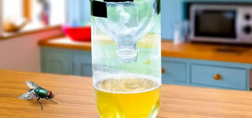 Ponlo en la cocina: repele moscas, mosquitos y todos los demás insectos.