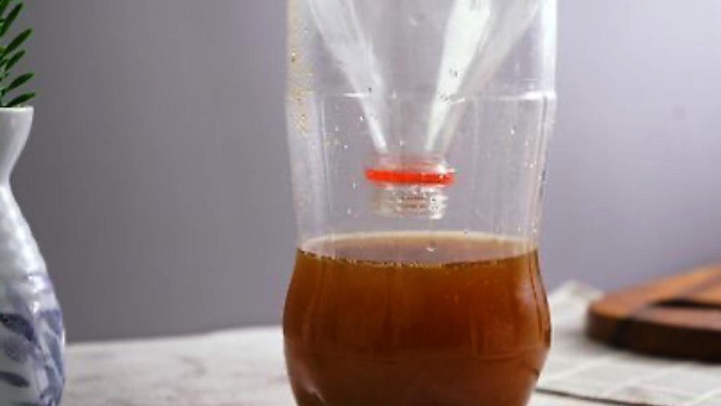 Crea gratis esta trampa mortal para mosquitos: acabarás con el problema