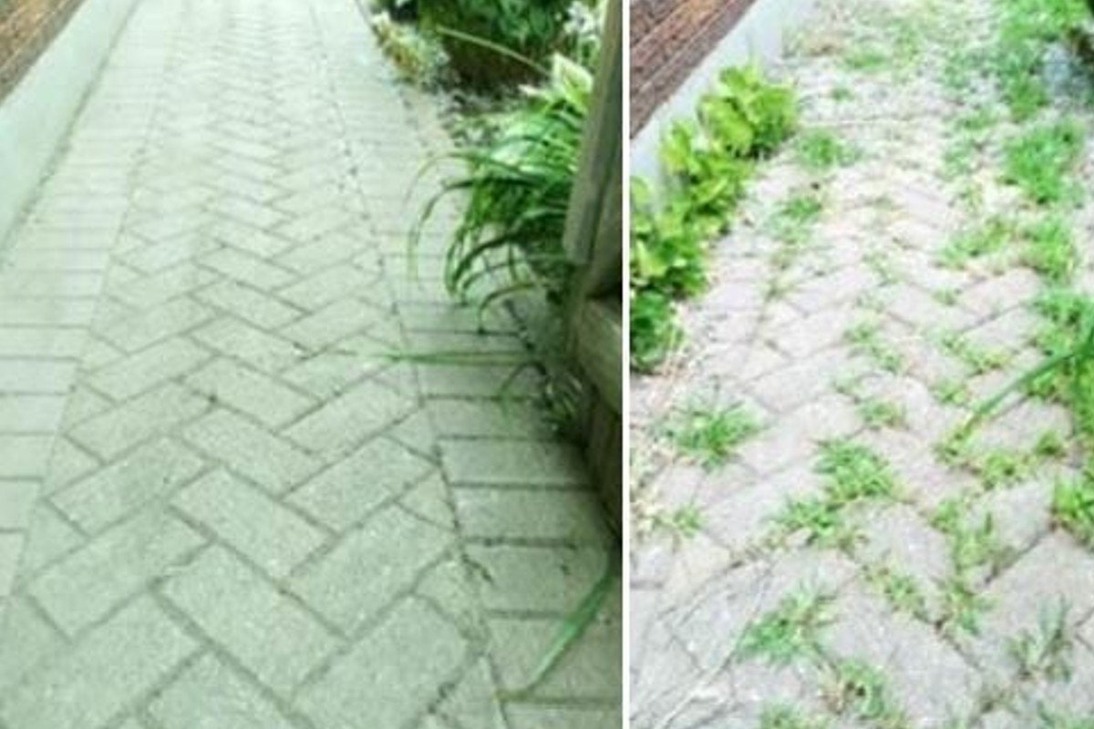 Desarrollador de malezas potente y efectivo para eliminar todas las malas hierbas con solo 1 euro