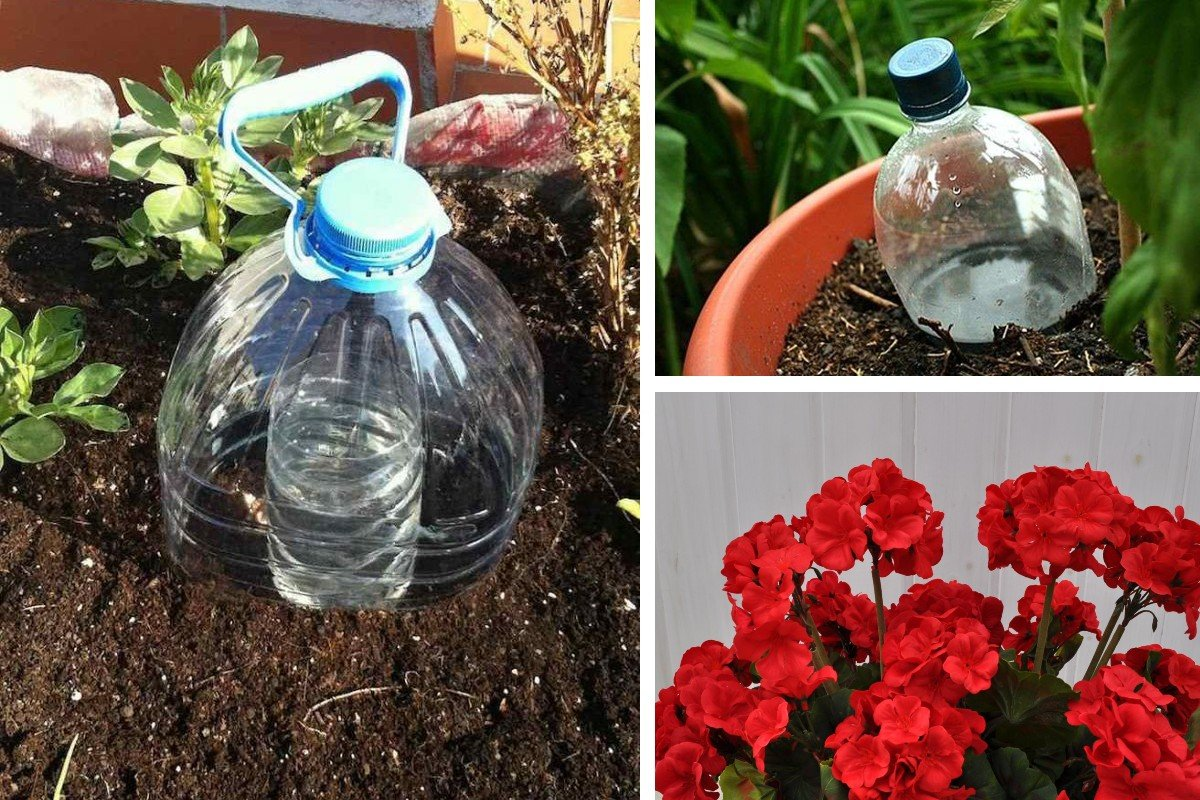 El método perfecto para regar plantas durante las vacaciones. Para verduras, jardín y plantas en maceta