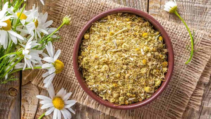 La manzanilla es una planta con múltiples beneficios