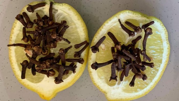 Mezclar claveles con limón: el secreto que nadie te contará