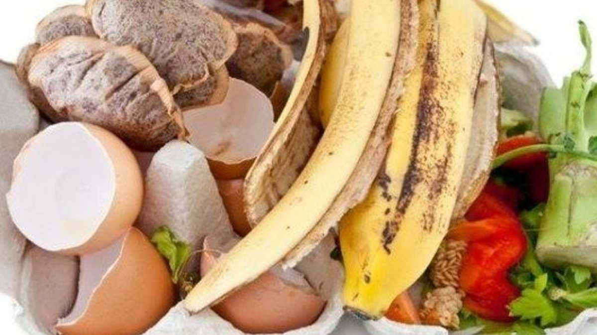 Un fertilizante súper eficaz para plantas y flores: descubre cómo hacerlo a partir de desechos.