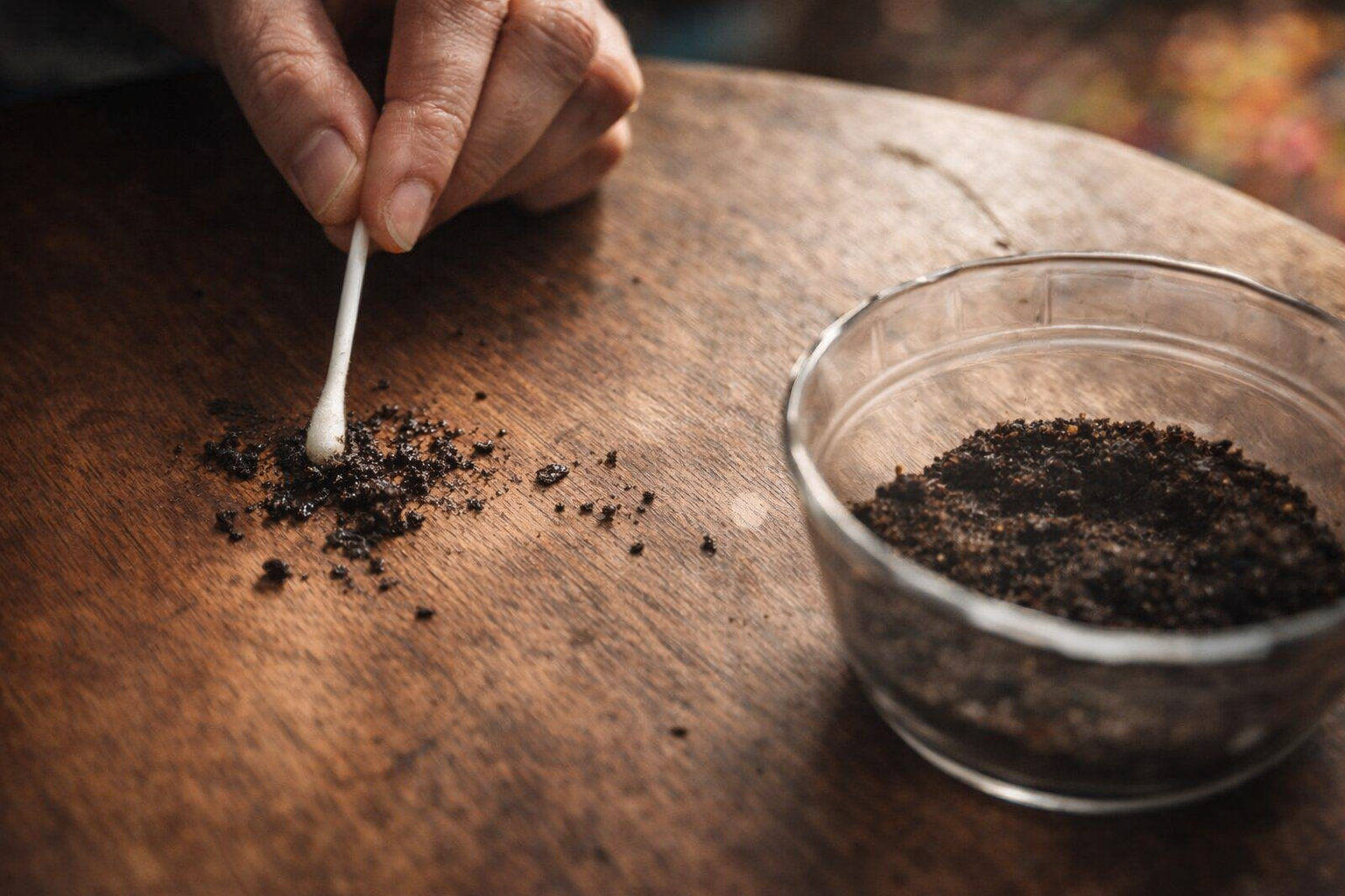 Por qué tanta gente utiliza posos de café en muebles de madera: sorprendente