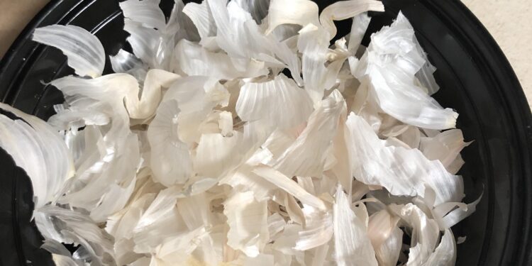 12 Usos de la Cáscara de Ajo que Nadie Te Contó