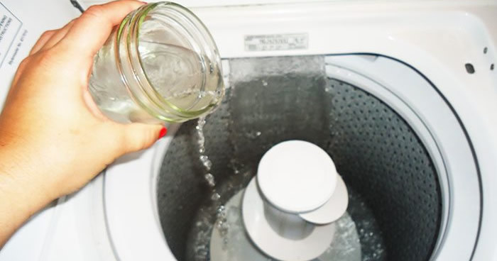 3 consejos para blanquear la ropa, eliminar pelos de perros y gatos y malos olores con vinagre