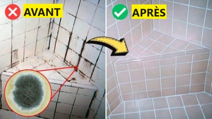 5 remedios caseros comprobados para eliminar definitivamente el moho