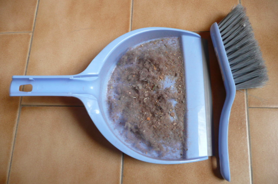 8 consejos naturales y efectivos para acabar con el polvo