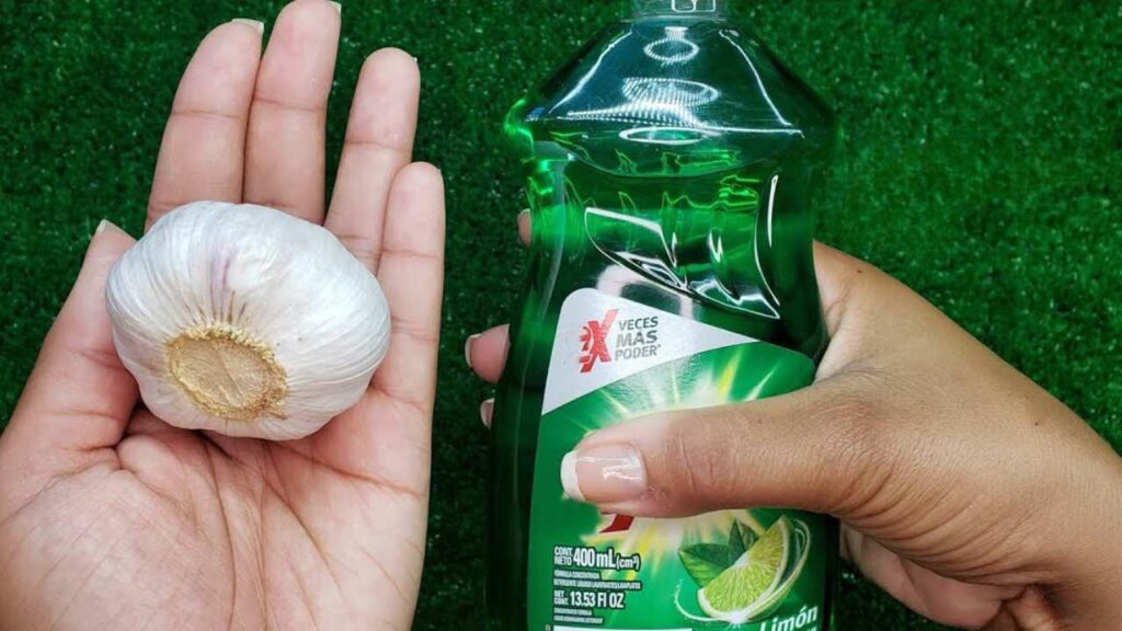 Adiós caracoles de jardín: estos potentes ingredientes los mantendrán alejados al instante