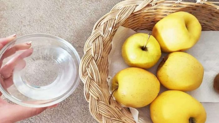 Adiós mosquitos de la fruta, con este remedio natural los mantendrás lejos al instante