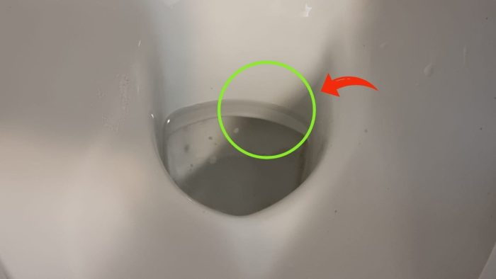 Así se elimina ese antiestético y molesto anillo de cal en el inodoro