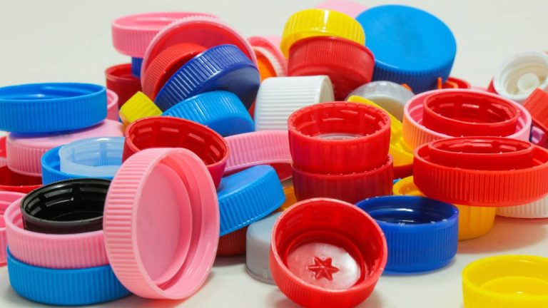 Casa invadida por hormigas, desaparecerán al instante con el antiguo método de la espina