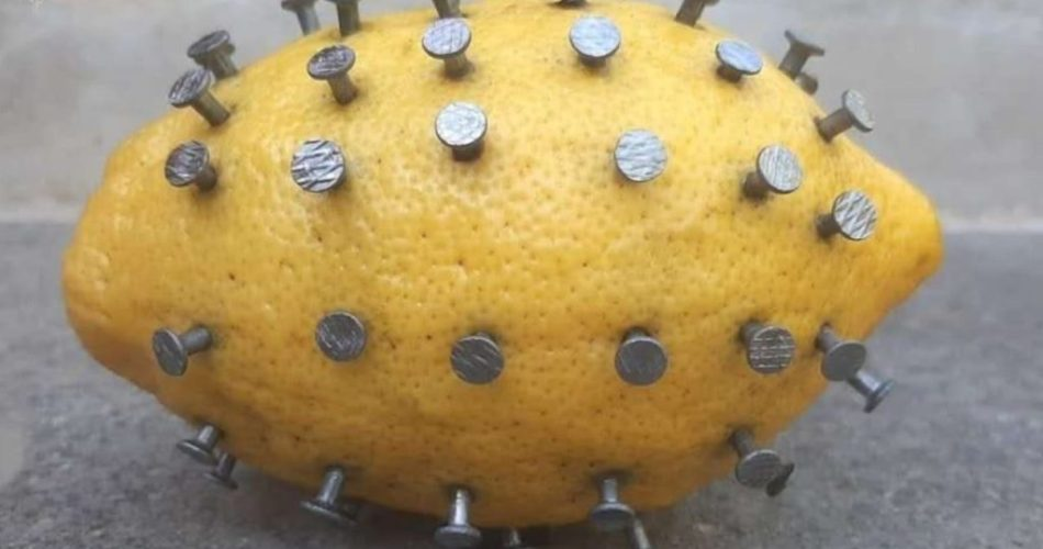 Clava las uñas en el limón, descubrirás algo muy interesante: qué está pasando