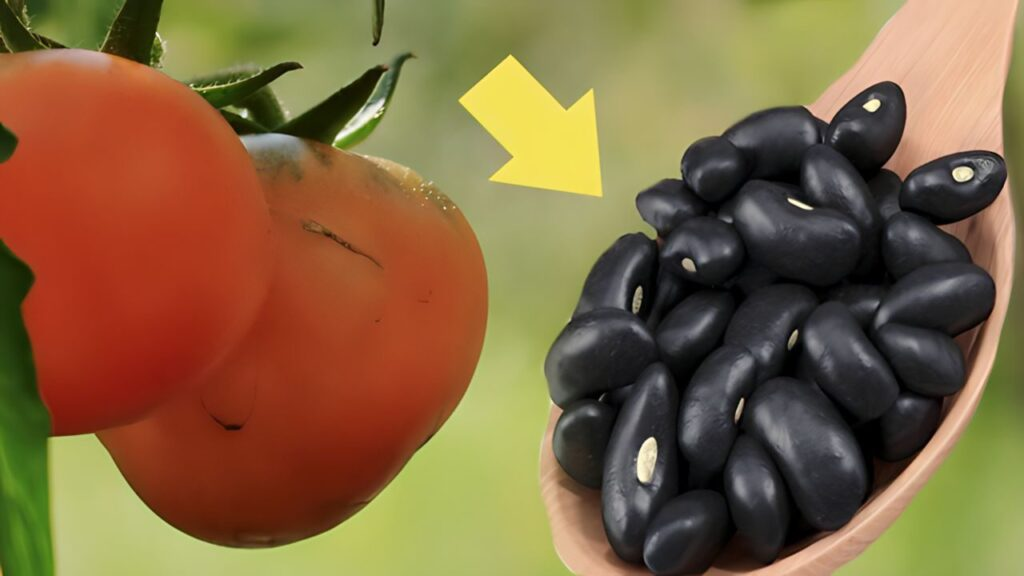 El mejor fertilizante para la huerta y el jardín: también lo recomiendan los jardineros