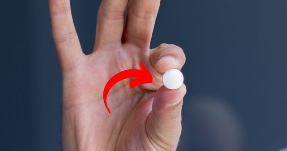 El remedio más antiguo y potente para eliminar definitivamente insectos y hormigas