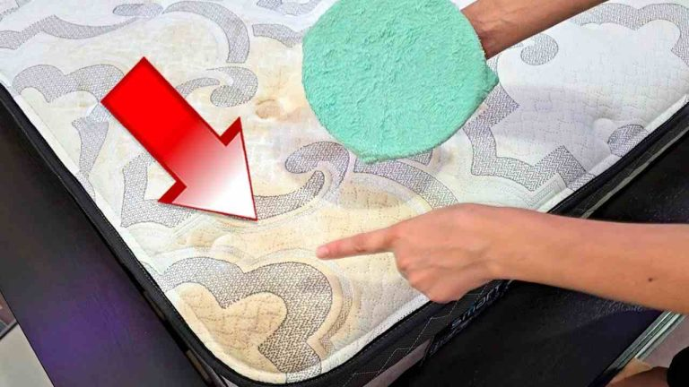 El secreto de las empleadas domésticas para quitar manchas de colchones, muebles y sillones