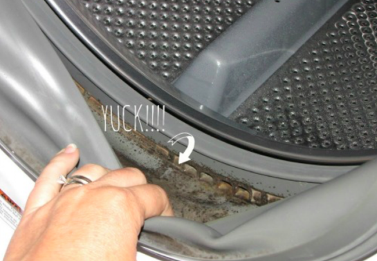 El truco infalible para limpiar la goma de la puerta de la lavadora