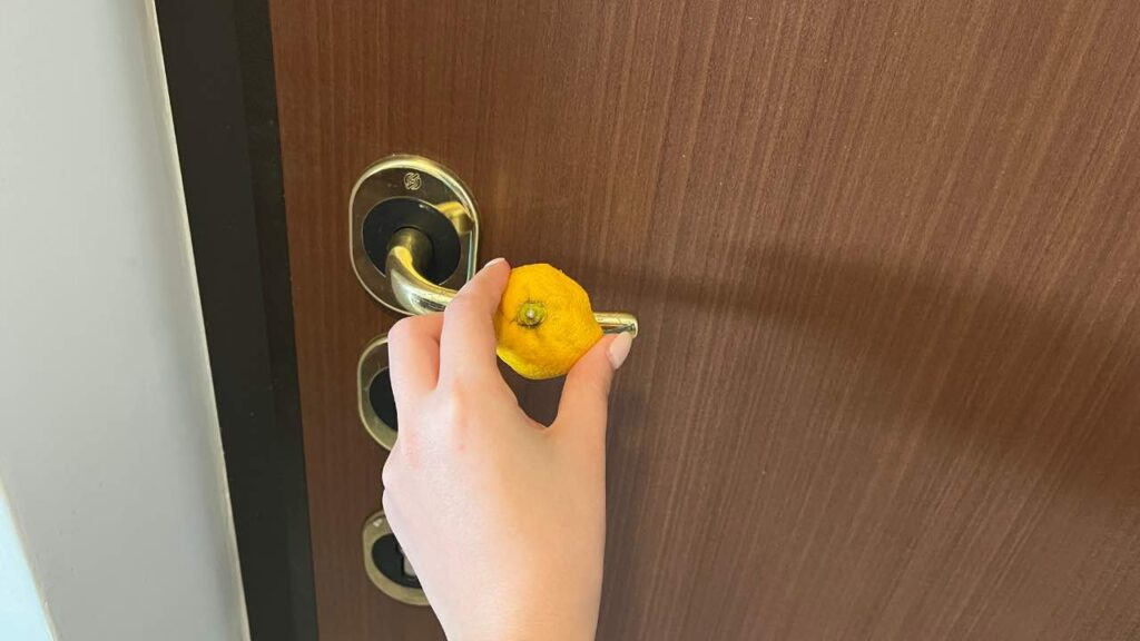 Frota un limón en la puerta de casa antes de acostarte: aquí está la razón