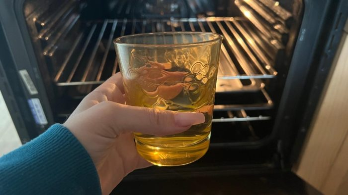 Horno, si lo limpias al final de cada uso no tendrás que limpiarlo durante semanas