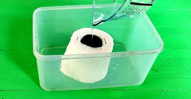 Mojar el papel higiénico con vinagre: ¡esta es la solución a muchos de tus problemas en casa!