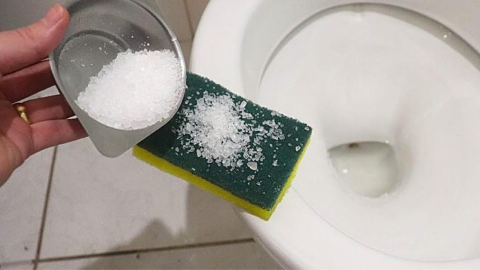 No gastes nada, con este método natural el baño olerá constantemente