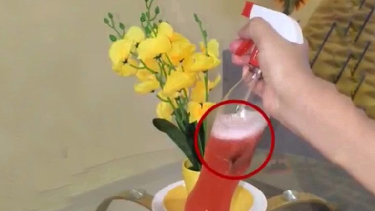 No más cucarachas en casa, insecticida y aroma natural: todo huele bien