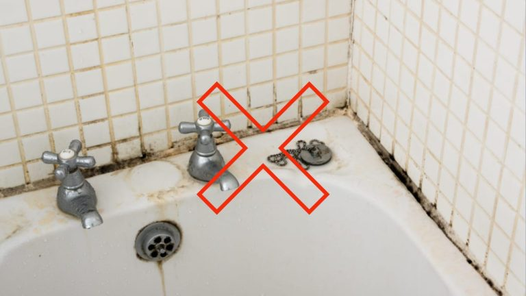 Nunca más moho en la ducha, las paredes de casa y la madera: basta con esto para eliminarlo todo
