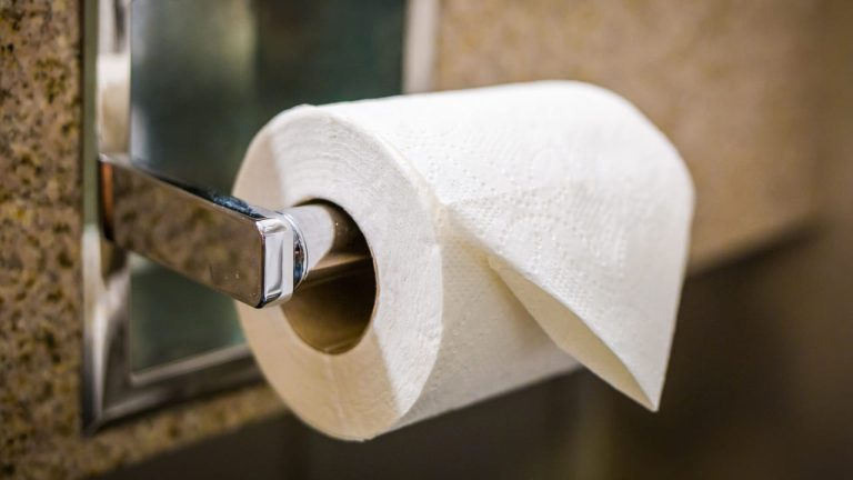 Papel higiénico, ¿qué se usaba antes de su invención? Sorprendente