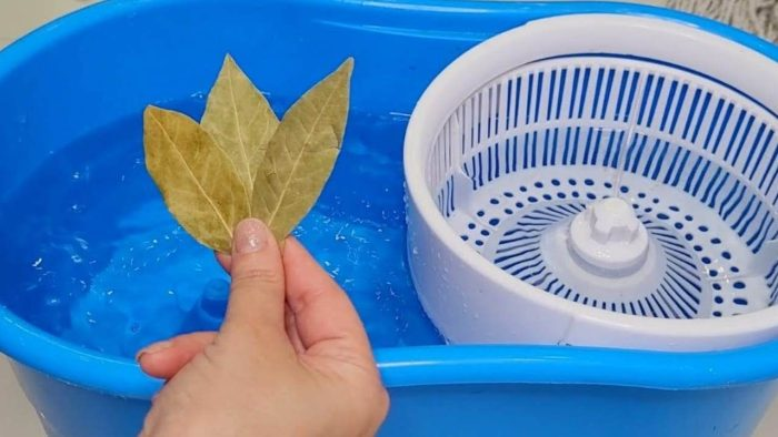 Pon 3 hojas de laurel en el cubo de la fregona: esto es lo que pasa en el suelo