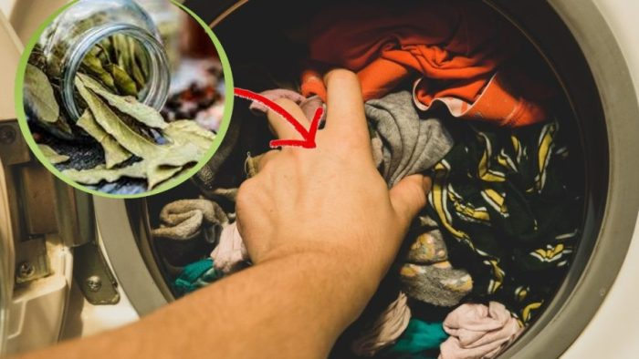 Pon 4 hojas de laurel en la lavadora y verás el resultado.