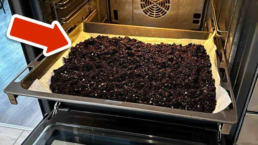 Pon la tierra en el horno y mira qué sucede, probablemente no lo esperas